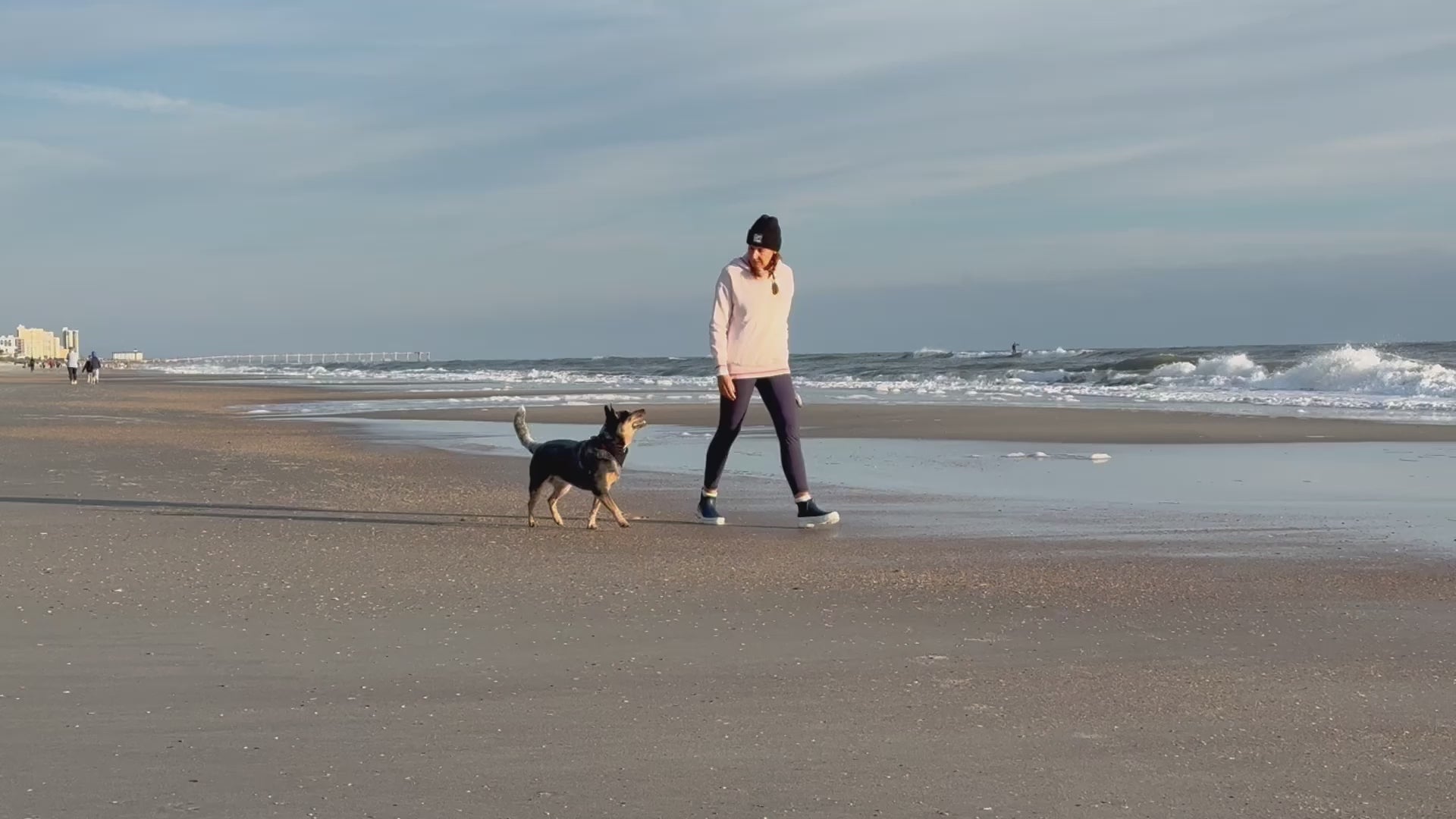 A woman with a dog walking on the beach
