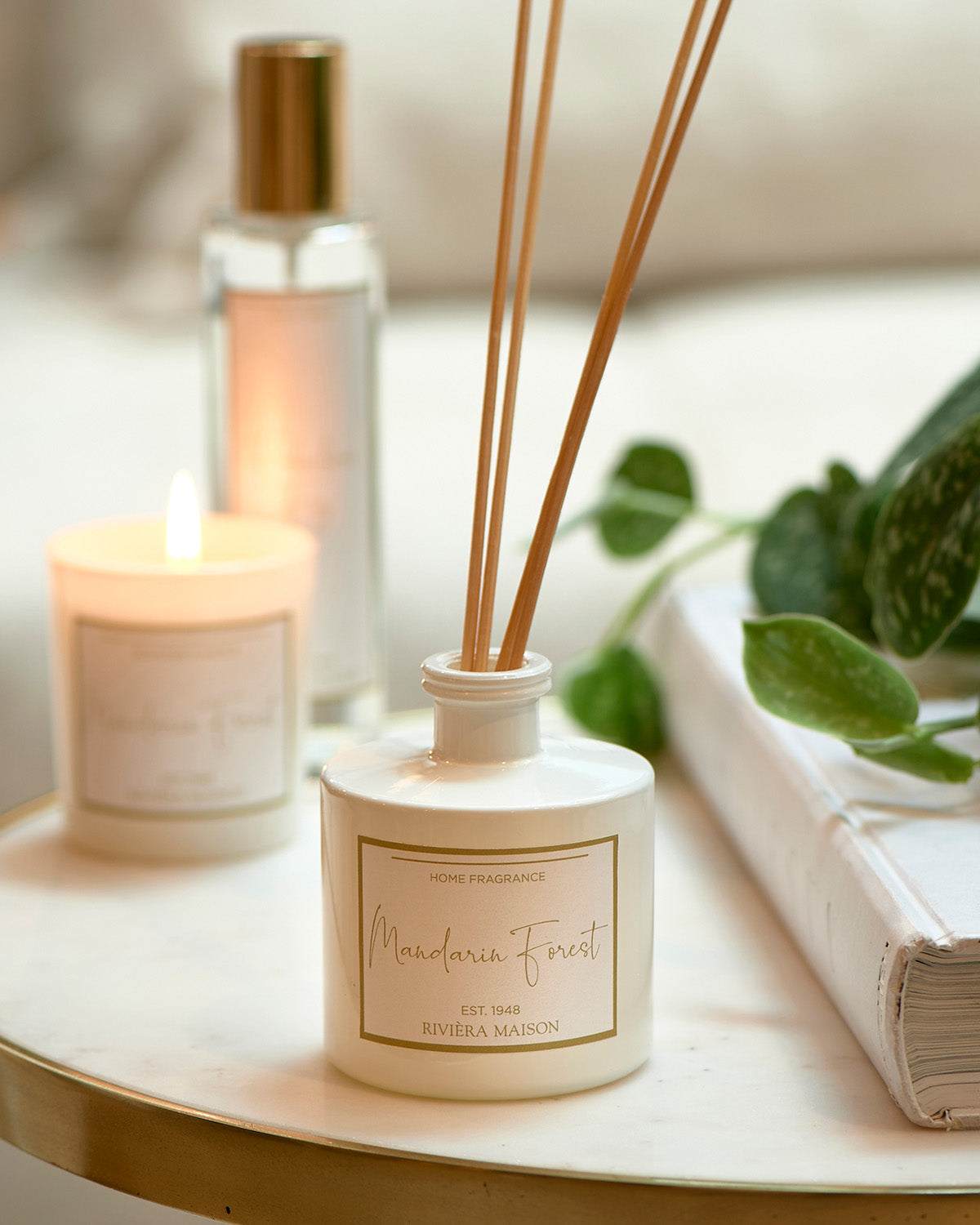 FABULOUS FIG FRAGRANCE STICKS in a white glass by Riviera Maison