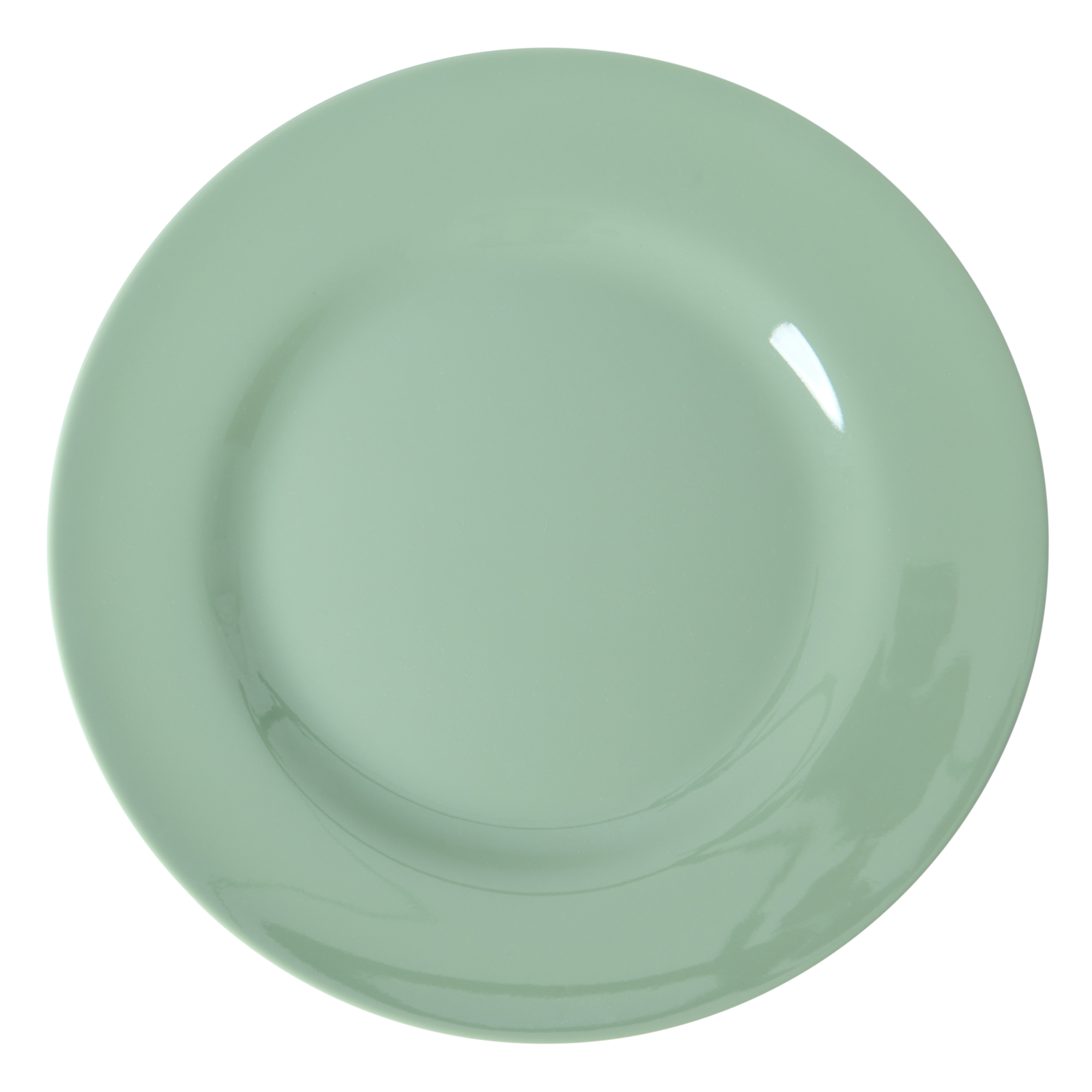 Melamine dinner plate by Rice by Rice in the color mint